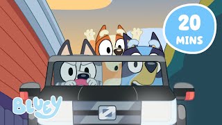 🔴LIVE On the Road with Bluey  With Muffin Socks and more  Bluey [upl. by Thorlay483]