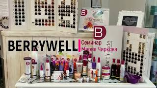 Seminar Berrywell 2018 [upl. by Reisman489]