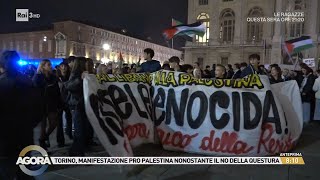 Torino ancora in piazza per la Palestina  Agorà 08102024 [upl. by Andre]