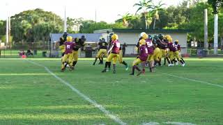 DripBoyz vs Hallandale Chargers 13u [upl. by Llien853]