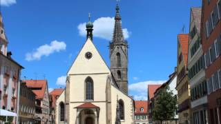 Rottenburger Dom  Festgeläut [upl. by Honebein]