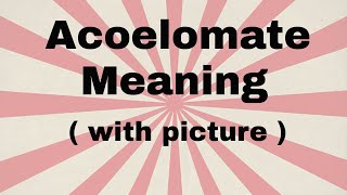 Acoelomate meaning [upl. by Akel]