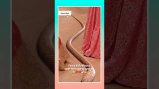 Ishq de faliya gehna serial shorts videos 👉🙊😥🥀💔🕊️💥 [upl. by Maurise]