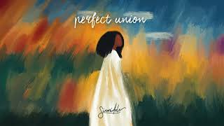 Sinmidele  perfect union lyric video [upl. by Cordi802]