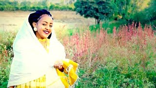 Temesgen Teklay  Gual Hamatey  New Ethiopian Music Official Video [upl. by Oninotna]