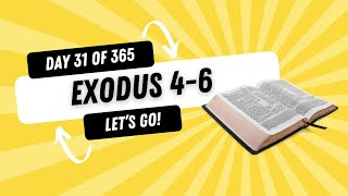 Exodus 46  Experiencing God 365 Days Through the Bible  Day 31 [upl. by Teak]