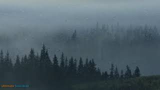 Mountain Rain amp Thunderstorm Sleep Sounds Ambient Noise For Sleep amp Meditation Ultizzz day36 [upl. by Franciscka]