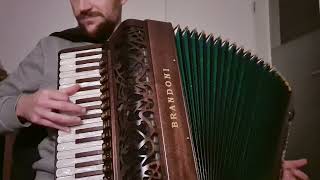 The Wellerman AkkordeonAccordion [upl. by Pomfret]