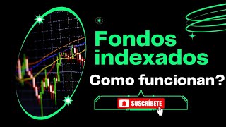 Invirtiendo con Éxito ¿Qué Son y Cómo Funcionan los Fondos Indexados [upl. by Sremlahc]