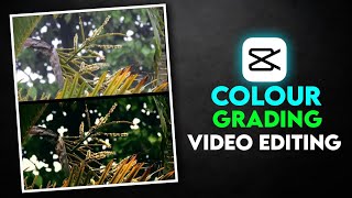 How To Colour Grading Your Videos In Capcut Colour Grading Video In Mobile Cinematic Colour Grading [upl. by Ydnys]