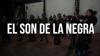 El Son De La Negra  Mariachi Los Toritos De Alberto Ibarra  Mariachi Femenil Innovación Mexicana [upl. by Bundy]