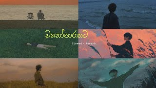 මනෝපාරකට සුපිරිම සිංදු ටික Best Sinhala Song Collection  slowed  reverb🤍 [upl. by Nnylsaj]