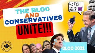 The Bloc Québécois And Conservatives CHECKMATE Trudeaus Liberals [upl. by Hosfmann784]