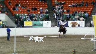 Reeboks Kid Equine Affaire Versatility Finals [upl. by Pauli]