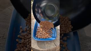 Kavrulmuş Türk Kahvesi☕️ Roasted Turkish Coffee☕️ Türkkahvesi Kahve coffee [upl. by Aneeram]