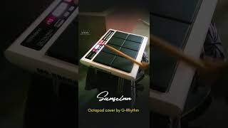 Sanseinn song Octapad cover by GRhythm viralvideo octapad newmusic viralsong shorts viwes [upl. by Hannover552]