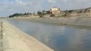 ارض زراعية مدينة الحمام على ترعة الشيخ زايد [upl. by Ileane643]