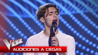 Javier Regueiro canta quotMaldita dulzuraquot  Audiciones a Ciegas  La Voz Antena 3 2024 [upl. by Gibbs82]