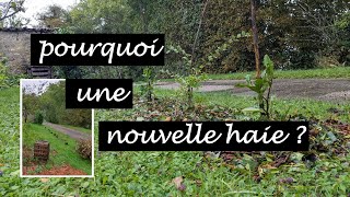 Comment planter une haie pour protéger et nourrir le potager [upl. by Jarad228]