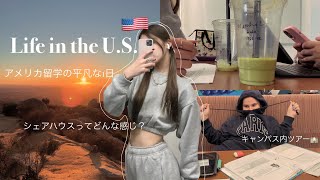 【アメリカ留学】学校がある日の１日密着vlog🇺🇸シェアハウスって実際どんな感じ？7 [upl. by Oniliuqnart65]