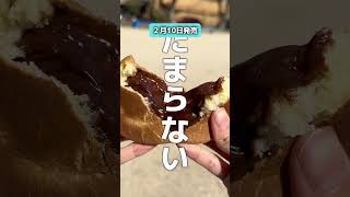 広島の二重焼き🤎 広島グルメ 広島ランチ 広島カフェ 広島観光 いわた屋 二重焼き 大判焼き 広島 [upl. by Sugna]