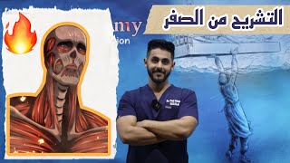 L1 Introduction to Upper limb anatomy P1 شرح بالعربي [upl. by Mikahs953]