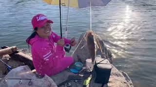 Fishing Bluegill at Lake Kaweah 2024 [upl. by Nylek]