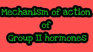 Mechanism of action of group 2 hormones II Gprotein II cAMP [upl. by Annais]