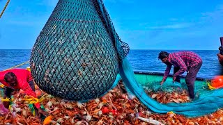 OMG Record Fishing  CRAB FEAST 5 Tons Of Crabs Caught In One Epic Fishing Catch Day6EP6 [upl. by Gamin]