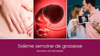 6 semaines de grossesse OU sixième semaine de grossesse [upl. by Poore]