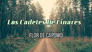 LOS CADETES DE LINARES ¨Flor De Capomo¨ LETRA [upl. by Nosiddam557]