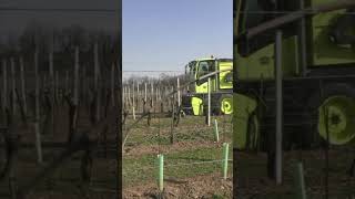 Turn Vineyard Trimmings into Biomass with EDY CHIPPER 🍇 [upl. by Enrique]