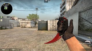 Unboxing Karambit Crimson web CS2 [upl. by Ahsennod743]