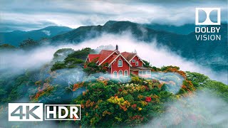 Most Special 4K HDR 60 FPS Dolby Vision 4K Video [upl. by Cannice124]