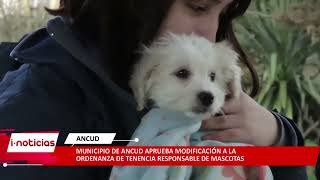 Municipio de Ancud aprueba modificación a la ordenanza de tenencia responsable de mascotas [upl. by Innavoj]