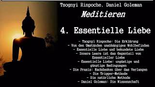 4 Essentielle Liebe  Meditationsformen Psychologie und Wissenschaft [upl. by Goldsmith]