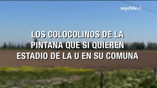 Los colocolinos de La Pintana que sí quieren el estadio de la U en la comuna [upl. by Kaylee]