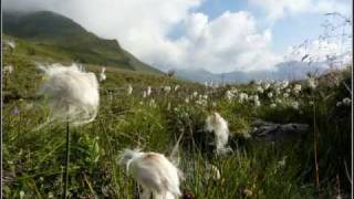 Naturpark Zillertaler Alpen Torseen Nasse Tux Tirol [upl. by Adnolrehs361]