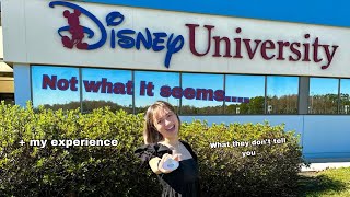 Surviving the Disney College Program An Honest YearandaHalf Journey [upl. by Corabella762]