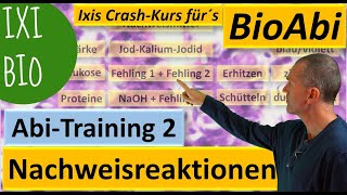 Nachweisreaktionen 1 Nachweis von Glukose Protein Eiweiß Stärke  Abiturtraining 2 Praxisteil [upl. by Hadik]