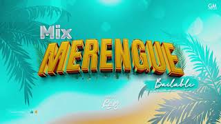 MIX MERENGUE BAILABLE VOL 1  OLGA TAÑON EDDY HERRERA ELVIS CRESPO JUAN LUIS GUERRA  DJ LEXZ [upl. by Williamsen]