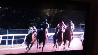 Secretariat Movie Clip First Win [upl. by Lazar]