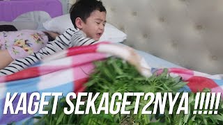 PRANK RAFATHAR BANGUN DIKELILINGI SAYUR [upl. by Eimaraj]