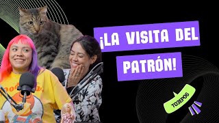 ¡Llegó el patrón al set y todo se puso bien Furro  Barbichotas [upl. by Dorraj]