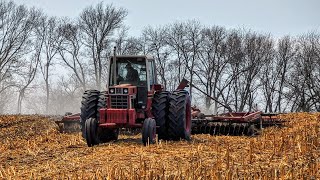 INTERNATIONAL HARVESTER 1486 Pulling 26ft IH Disc [upl. by Godard]