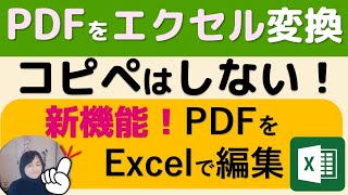 初心者でも知っておきたいPDFファイルをエクセルに変換し編集できる方法 [upl. by Nnayelhsa]