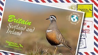 Tropical Birding Virtual Nature Tour of Scotland amp Ireland by Charley Hesse [upl. by Eyahc]