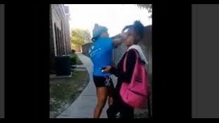 Sharkeisha Fight Video SONG with Memes ft Sharkeisha SHARKEISHA SONG [upl. by Zavala]