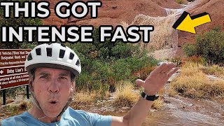 Flooding on Slickrock Trail Surrounded by Owls Moab Utah Solstice Magick [upl. by Asilef955]