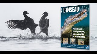 La revue nature de la LPO  LOISEAU MAGAZINE n°148 [upl. by Einhapets]